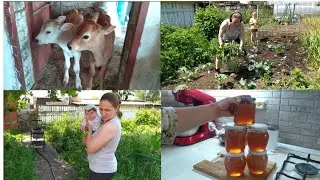 МНОГОДЕТНАЯ МАМА В ДЕРЕВНЕ!🙈🤱🐄🐖🌾🌱🥞