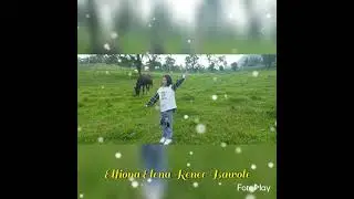 Elfiona in Action