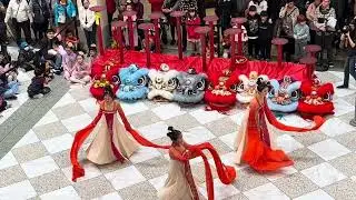 Celebrating Chinese new year 2025 
