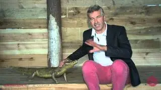 Moest Noach niet enorm veel voedsel meenemen in de ark? | Johan Huibers