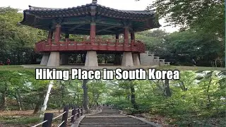 ಗುಡ್ಡ, ಹಸಿರು ಪರಿಸರ ನೋಡುವುದೇ ಚೆಂದ ಅಲ್ವಾ| Yoga Day Hike in Korea #kannadaVlog  #TravelVlog