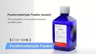 Paraformaldehyde Fixative-Universal tissue fixative G1101-500ML