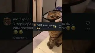 Торшер бл*ть!😹😹😹