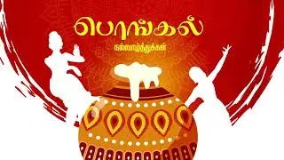Free Happy Pongal Tamil Festival Screensaver 4K | Pongal Pot & Kolam Background Download