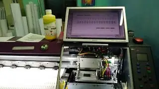 Wit-Color 9000-XP600&Windows10_32bit. Работает.