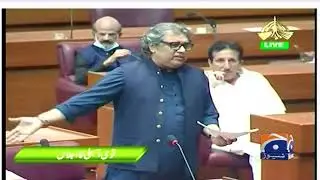 Federal Minister Ali Zaidi Speech in National Assembly | 25th June 2020
