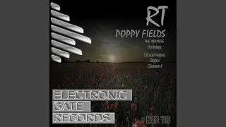 Poppy Fields (Xayne Remix)