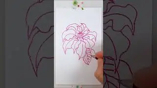 Poinsettia Holiday Doodle Floral Tutorial | DIY Postcards