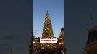 Christmas Tree Lighting🎄 #disneylandresort #disneychristmas #mainstreetusa #christmastree #disney