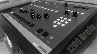 1200 Brain |SP-1200 +S950| 2.D.D Beats