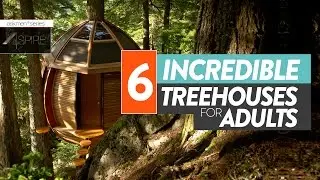 6 Adult Tree Houses That'll Bring Out The Kid In You | Aspire