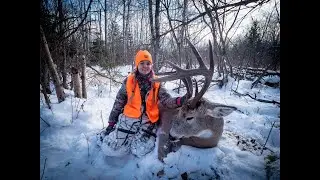 Саскачеванский белохвостый олень - Big Spruce Outfitters - Сумасшедший на вид старый олень!