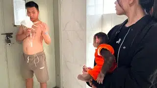 CUBIS Monkey doesn't want to play wants go hospital to visit dad