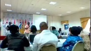 Yali West Africa 2015 Cohort 2 - Presentation of Elephant group
