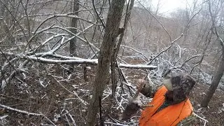 Rabbit Hunting Public Land Southeastern Ohio (Jesse Owen's State Park)
