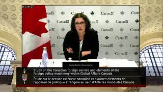 What is the Foreign Service's Capacity in Africa & is it Sufficient for Developing Trade Relations?