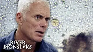 INVISIBLE KILLERS: Jeremy Wade's Trip To Hospital | River Monsters