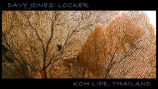 Dive Koh Lipe with Davy Jones Locker