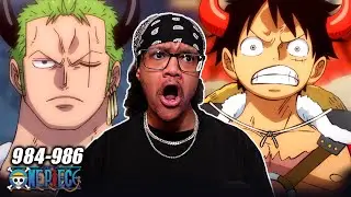 ZORO'S HAKI IS INSANE! LUFFY & ZORO GO OFF! | One Piece Episode 984-986 Reaction