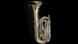 RAPTOR (Little Thunderbird) Tuba Review
