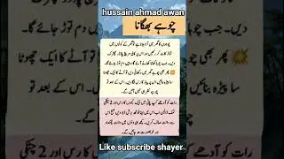 chohe kese bagayen #mouse  #quotes #song #shorts#tiktok #news #urdu #poetry #youtube #rapper#reels