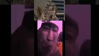 Конг действительно пытался победить Годзиллу?!?!