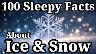 The Most Relaxing Facts About Ice & Snow to Fall Asleep To