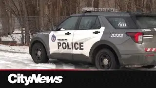 Ontario-wide review of police forces is launched
