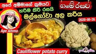 ✔අපේ අම්මාගේ ක්&zwj;රමයට ගමේ රසට මල්ගෝවා අල කරිය Cauliflower potato curry by Ap&eacute; Amma