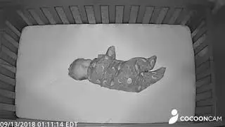 Cocoon Cam