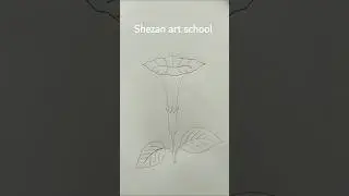 #shorts #draw Datura flower #flower