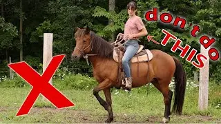 Avoid These 5 Common Horse Riding MISTAKES!