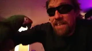 First Annual Teddy B and Scooter Halloween Disco featuring David Bowe!