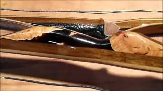 Eclipse Archery - The Proton longbow