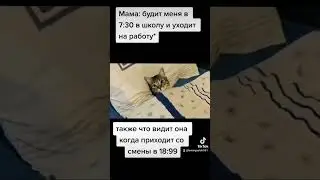 мем # 51