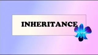 13.Inheritance | Types of Inheritance | Implementation.[Hindi]
