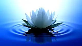 OM SAHANA VAVATU | MANTRA DE LA PAIX | SHANTI MANTRA | UPANISHAD