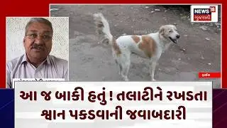 Gir somnath Stray Dog News | આ જ બાકી હતું ! તલાટીને રખડતા શ્વાન પકડવાની જવાબદારી | Talati | N18V