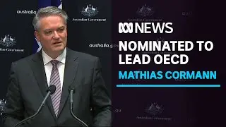 Outgoing Finance Minister Mathias Cormann nominated for OECD top job | ABC News