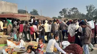 Balapur market is live #laljikiranvlogs44