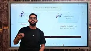 المحاضرة الثالثة فسيولوجي دفعة 199 قصر العيني “RBCs &Hemoglobin”..