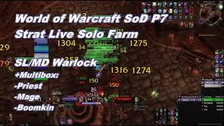 WoW SoD P7 Strat Live Solo Farm - SL/MD Warlock Multibox