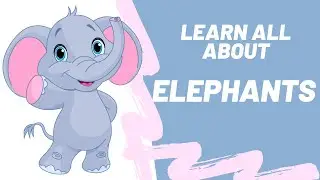Elephants | Learn All About Animals for Kids | Explore the Wildlife | Children Education Video