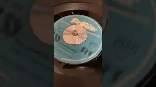 The Echo-Sounds: You Must Be Joking b/w Bull Moose