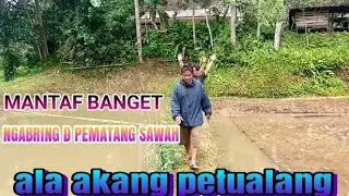 SERU SERUAN DI GALENG SAWAH#alampesawahan 