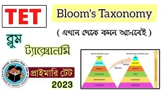 Bloom's Taxonomy in Bengali | Primary TET Preparation 2023