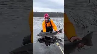 Первый день сезона на Поное 2025 // Ponoi. First day of 2025 season