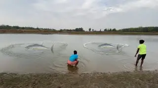 the viral boy 2 fisher man fishing in village fish viral langa video 