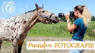 Paardenfotografie tips + bewerken & NIEUWE CAMERA (€2400!) | felinehoi