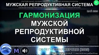 🔥 МУЖСКОЕ ЗДОРОВЬЕ НА 100% 💪🌟 Оптимизация Мужской Репродуктивной Системы ♂️💯